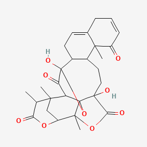 molecular formula C28H32O9 B1221941 Capsicum fuscoviolaceum 
