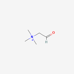 molecular formula C5H12NO+ B1222097 Betaine aldehyde CAS No. 7418-61-3