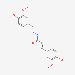 molecular formula C19H21NO5 B1222128 N-trans-Feruloylmethoxytyramine; trans-Feruloylmethoxytyramine; trans-N-Feruloyl-3-O-methyldopamine 