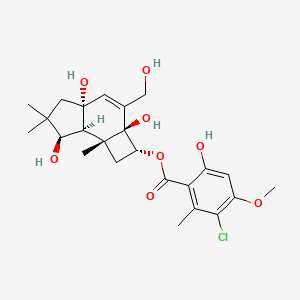 molecular formula C24H31ClO8 B1222203 melleolide D CAS No. 101922-80-9