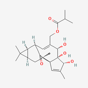 Ingenol-20-isobutyrate