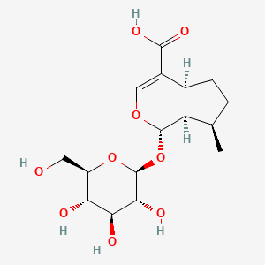 molecular formula C16H24O9 B1222388 8-表脱氧洛加尼酸 CAS No. 88668-99-9