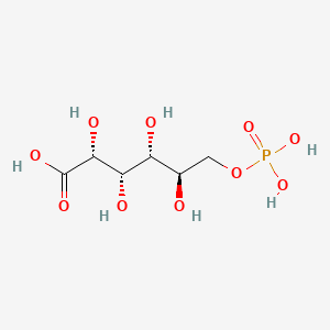 molecular formula C6H13O10P B1222592 6-Phosphogluconic Acid CAS No. 921-62-0