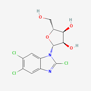 molecular formula C12H11Cl3N2O4 B1222822 2,5,6-Trichloro-1-(beta-D-ribofuranosyl)benzimidazole 