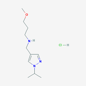 molecular formula C11H22ClN3O B12228455 [(1-isopropyl-1H-pyrazol-4-yl)methyl](3-methoxypropyl)amine 