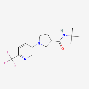 molecular formula C15H20F3N3O B12229175 N-tert-butyl-1-[6-(trifluoromethyl)pyridin-3-yl]pyrrolidine-3-carboxamide 