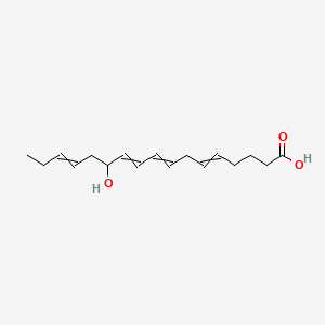 12-Hydroxyheptadeca-5,8,10,14-tetraenoic acid