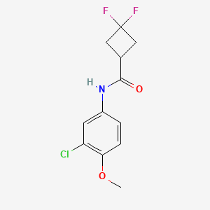 molecular formula C12H12ClF2NO2 B12235427 N-(3-chloro-4-methoxyphenyl)-3,3-difluorocyclobutane-1-carboxamide 