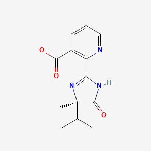 molecular formula C13H14N3O3- B1223905 2-[(R)-4-isopropyl-4-methyl-5-oxo-2-imidazolin-2-yl]nicotinate 