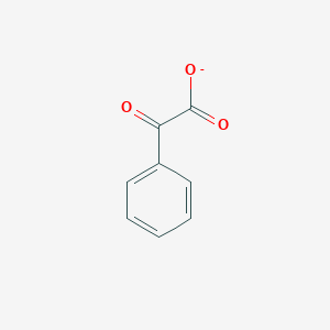 molecular formula C8H5O3- B1224774 Phenylglyoxylate 