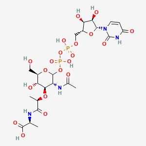 UDP-N-acetylmuramoyl-L-alanine