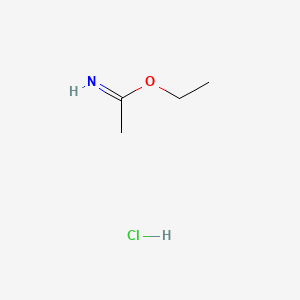 molecular formula C4H10ClNO B1225366 乙酰乙酰亚胺盐酸盐 CAS No. 2208-07-3