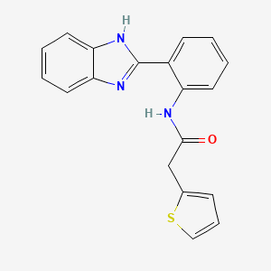 molecular formula C19H15N3OS B1225602 N-[2-(1H-benzimidazol-2-yl)phenyl]-2-thiophen-2-ylacetamide 