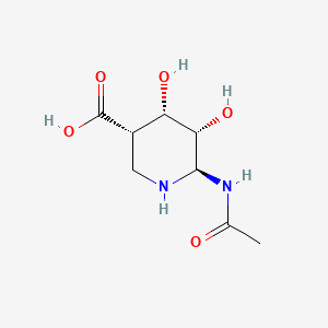 molecular formula C8H14N2O5 B1225722 Siastatin B CAS No. 54795-58-3