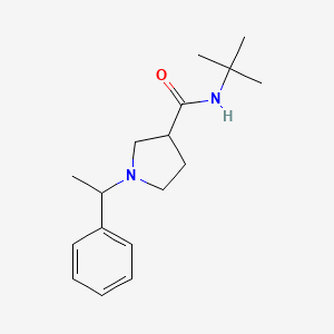 molecular formula C17H26N2O B12258565 N-tert-butyl-1-(1-phenylethyl)pyrrolidine-3-carboxamide 