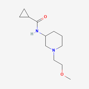 molecular formula C12H22N2O2 B12259080 N-[1-(2-methoxyethyl)piperidin-3-yl]cyclopropanecarboxamide 