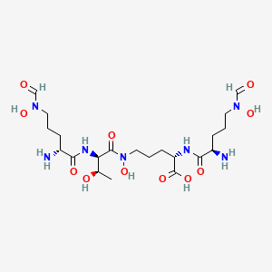 molecular formula C21H39N7O11 B1225944 Coelichelin 