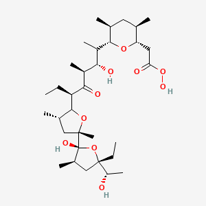 molecular formula C33H58O10 B1226021 2-[(2S,3R,5S,6S)-6-[(3S,4S,6R)-6-[(3S,5S)-5-[(2R,3R,5S)-5-ethyl-2-hydroxy-5-[(1S)-1-hydroxyethyl]-3-methyloxolan-2-yl]-3,5-dimethyloxolan-2-yl]-3-hydroxy-4-methyl-5-oxooctan-2-yl]-3,5-dimethyloxan-2-yl]ethaneperoxoic acid CAS No. 97671-95-9
