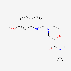 molecular formula C19H23N3O3 B12261834 N-cyclopropyl-4-(7-methoxy-4-methylquinolin-2-yl)morpholine-2-carboxamide 