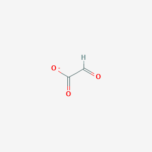 molecular formula C2HO3- B1226380 Glyoxylate 