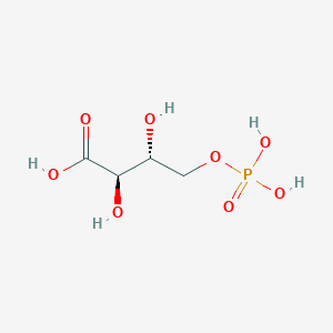molecular formula C4H9O8P B122664 4-Phospho-D-erythronate CAS No. 57229-25-1
