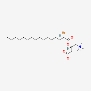 molecular formula C23H44BrNO4 B1226706 2-Bromopalmitoylcarnitine CAS No. 32886-14-9