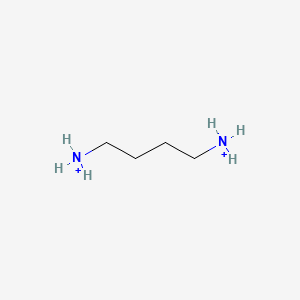 molecular formula C4H14N2+2 B1226911 1,4-Butanediammonium 