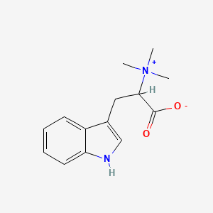 molecular formula C14H18N2O2 B1226917 Hypaphorine 