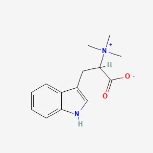 molecular formula C14H18N2O2 B1226917 3-(1H-indol-3-yl)-2-(trimethylazaniumyl)propanoate 