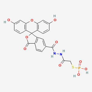 molecular formula C23H17N2O10PS B1226938 Doixc-pth CAS No. 151890-75-4