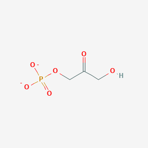 molecular formula C3H5O6P-2 B1226969 Glycerone phosphate(2-) 