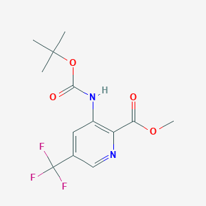 molecular formula C13H15F3N2O4 B12273832 3-tert-Butoxycarbonylamino-5-trifluoromethyl-pyridine-2-carboxylic acid methyl ester 