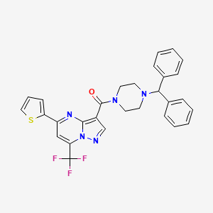 molecular formula C29H24F3N5OS B1227486 [4-(二苯甲基)-1-哌嗪基]-[5-噻吩-2-基-7-(三氟甲基)-3-吡唑并[1,5-a]嘧啶基]甲酮 