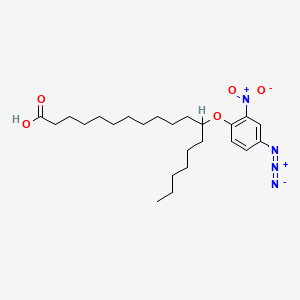 molecular formula C24H38N4O5 B1227540 12-(4-Azido-2-nitrophenoxy)stearic acid CAS No. 58470-00-1