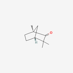 molecular formula C10H16O B1227562 (+)-Fenchone CAS No. 4695-62-9