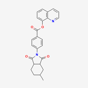 molecular formula C25H22N2O4 B1227908 quinolin-8-yl 4-(5-methyl-1,3-dioxooctahydro-2H-isoindol-2-yl)benzoate 