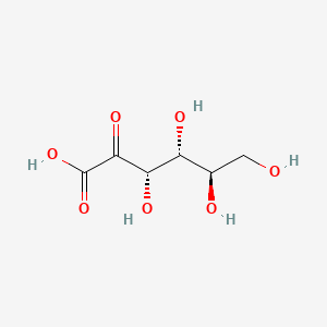 molecular formula C6H10O7 B1228103 2-dehydro-D-gluconic acid CAS No. 20248-27-5