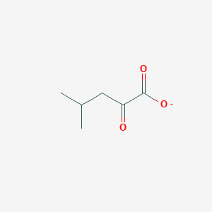 molecular formula C6H9O3- B1228126 4-Methyl-2-oxopentanoate 