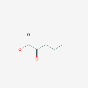 molecular formula C6H9O3- B1228249 3-Methyl-2-oxopentanoate 