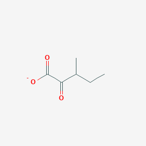 molecular formula C6H9O3- B1228249 3-Methyl-2-oxovalerate 