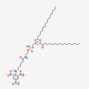 molecular formula C49H86N5O15P B1228314 Tnp-cap-dppe CAS No. 81497-26-9