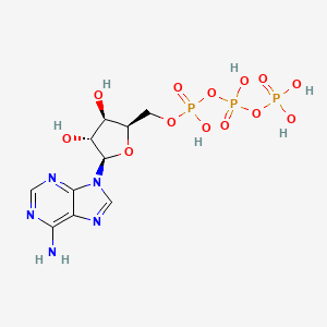 molecular formula C10H16N5O13P3 B1228953 9-beta-Xylofuranosyladenine 5'-triphosphate CAS No. 653-60-1