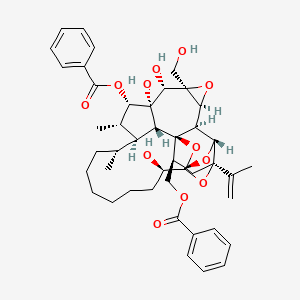 molecular formula C44H54O12 B1229004 Gnidimacrin CAS No. 60796-70-5