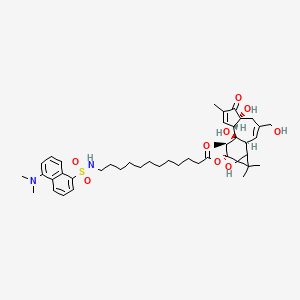 molecular formula C44H62N2O9S B1229136 Dansyl-tpa-13-desacetate CAS No. 98897-17-7