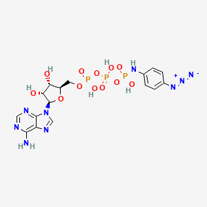 molecular formula C16H20N9O12P3 B1229348 ATP gamma-p-Azidoanilide CAS No. 54687-13-7