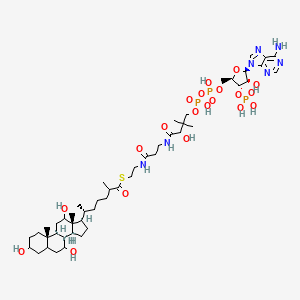 molecular formula C48H80N7O20P3S B1229369 3,7,12-Trihydroxy-5beta-cholestanoyl-CoA CAS No. 57458-60-3