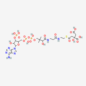 molecular formula C27H42N7O22P3S B1229397 citryl-CoA CAS No. 3131-26-8