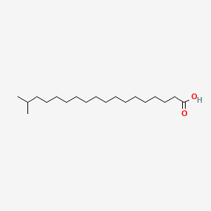 molecular formula C19H38O2 B1229425 17-Methylstearic acid CAS No. 2724-59-6