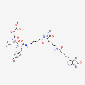 molecular formula C43H66N8O11S B12297560 DCG04 