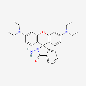 molecular formula C28H32N4O2 B1229885 Rhodamine B Hydrazide CAS No. 74317-53-6